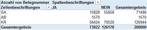 Belegarten Zeitnahe Erfassung PivotTable