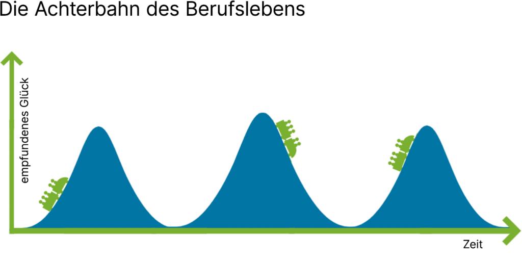 Blogpost Rollercoaster De 1